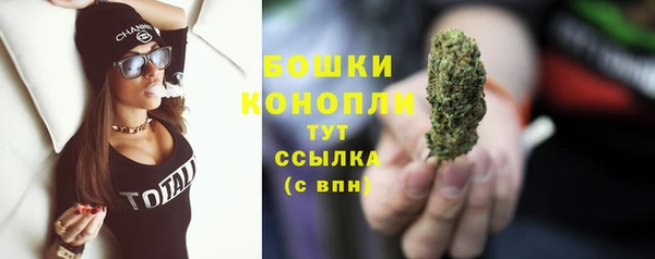 apvp Медногорск