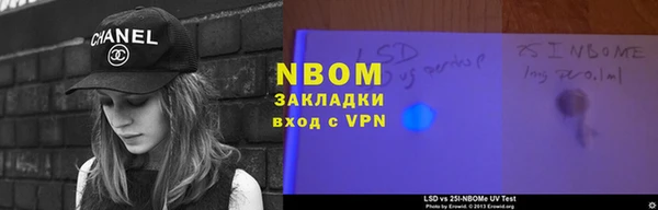 прущие грибы Мегион
